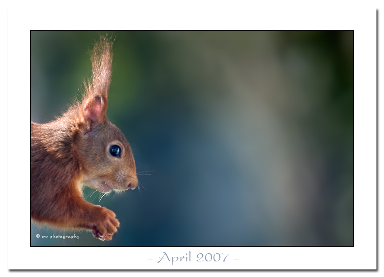 April 2007 - Bild des Monats