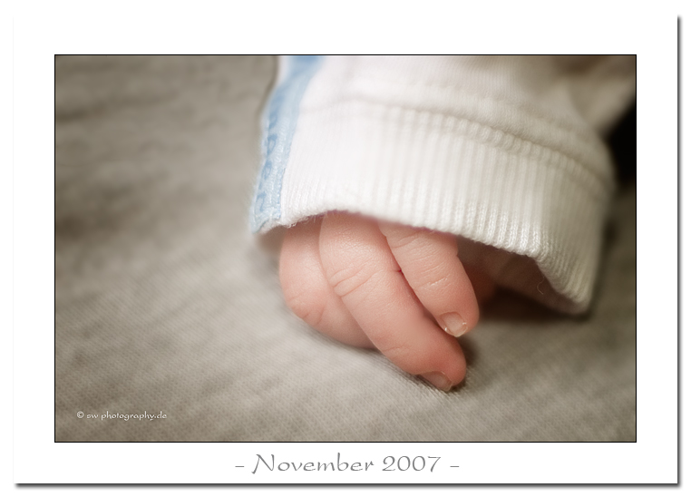 November 2007 - Bild des Monats