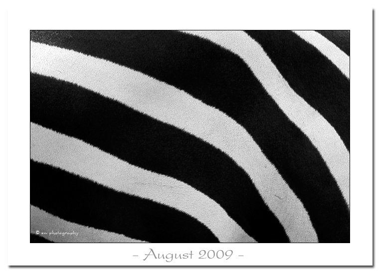 August 2009 - Bild des Monats