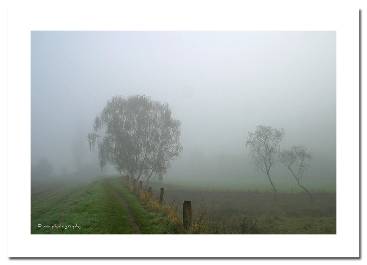 Nebel im Wupperumland