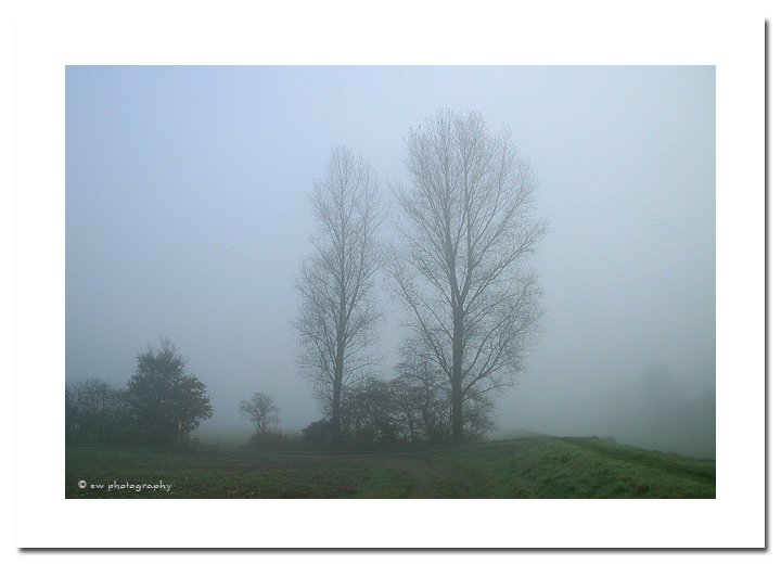 Nebelstimmung