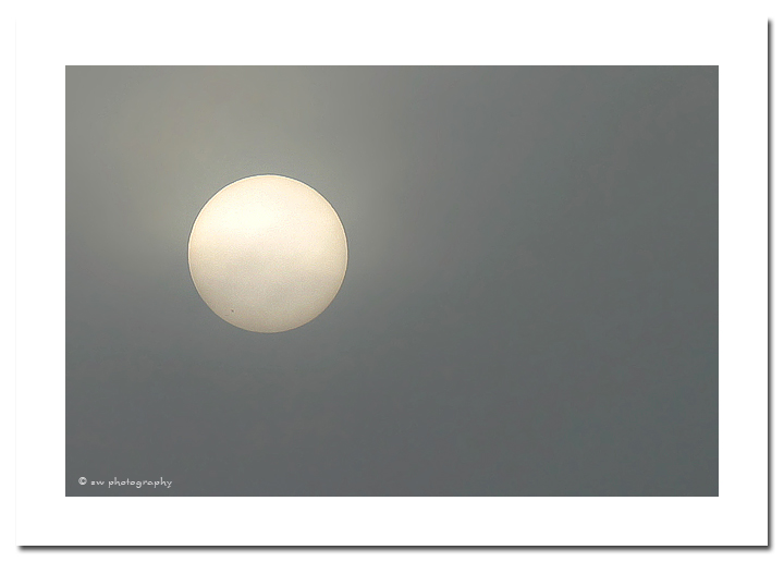 Blick in die Sonne