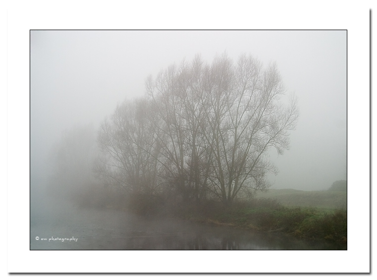 Nebel im Dezember I