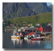 Reine