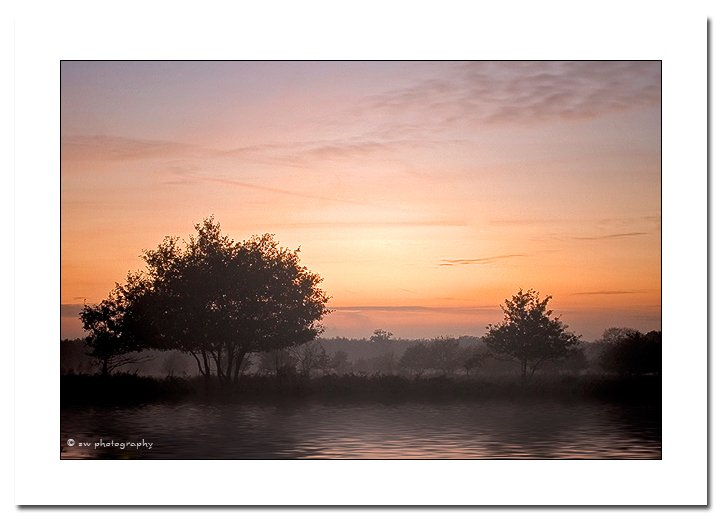 Sonnenuntergang in der Heide -EBV