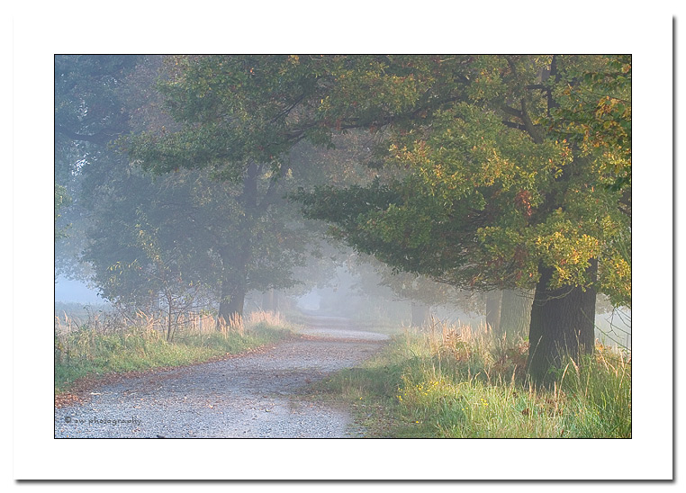 Morgenstimmung in der Heide