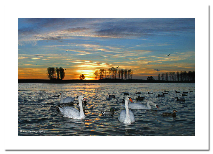 Abends am Rhein