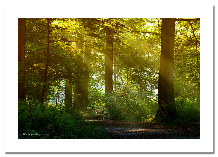 An der Wupper