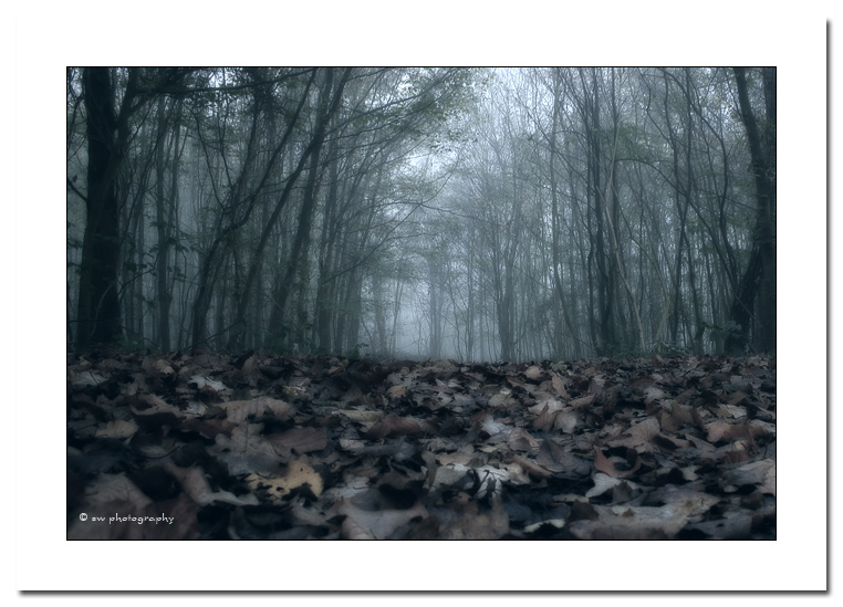an der Wupper entlang