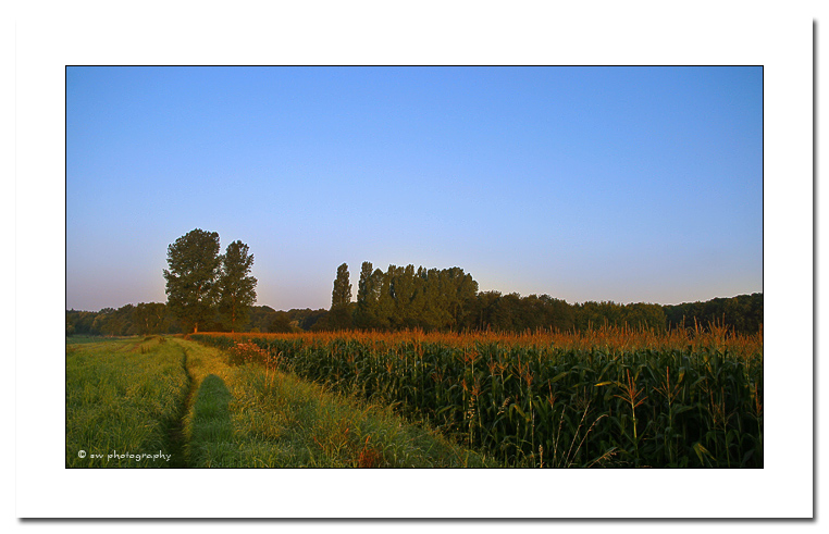 Morgenlicht an der Wupper